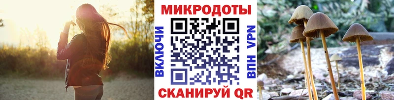 Купить закладки  Лобня  Псилоцибиновые грибы Psilocybe 